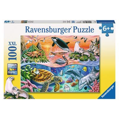 Spiel 572.0